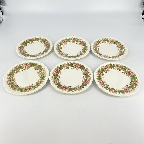 Set of 6 Vintage Wedgwood Barlaston Etruria Wildbriar 6 1/4” Butter Bread Plates - Picture 1 of 6